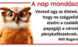 A nap mondása