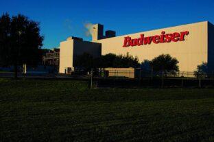 Anheuser-Busch invests $17M in Houston brewery