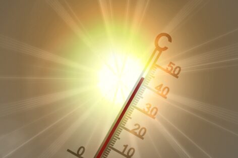 This summer could be hotter than 40 degrees: this is how farmers can protect themselves against the heat waves of 2025