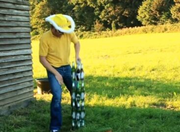 Földünk kincsei – A nap videója