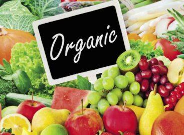 Organic food in mass catering?