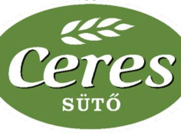 Innováció és hagyomány kéz a kézben