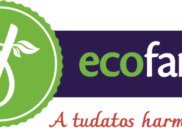Középpontban az univerzális emberi értékek és a tartósan alacsony árak