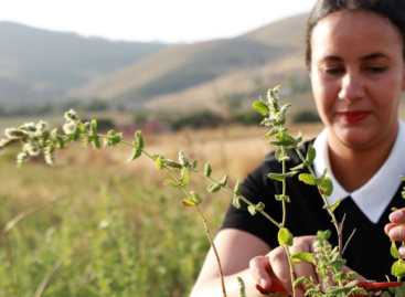Revitalizing rural areas with the help of young people