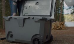 Buli to go – A nap videója