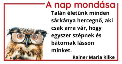 A nap mondása