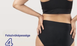 The development of reusable underwear was recognized