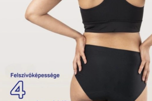 The development of reusable underwear was recognized
