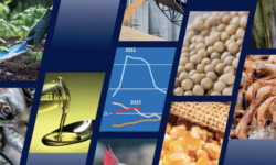 FAO: Global production of major agricultural food commodities could reach new records