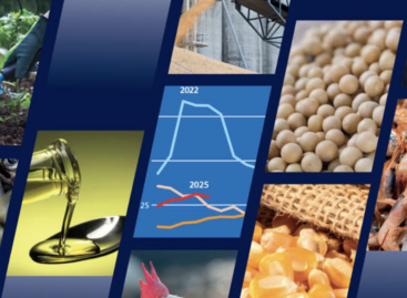 FAO: Global production of major agricultural food commodities could reach new records