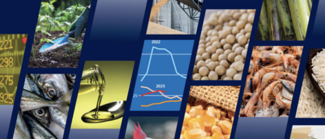 FAO: Global production of major agricultural food commodities could reach new records