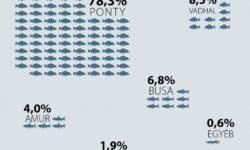Nőtt a hazai tógazdasági haltermelés 2024-ben