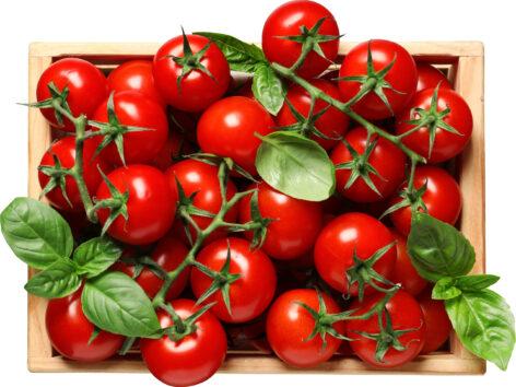 Price drop in tomato selection and ample ice cream selection at PENNY