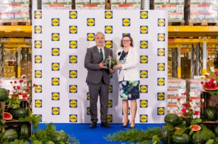 A Lidl és az Agrárminisztérium bejelentette: indul a hazai dinnyeszezon