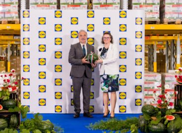 Lidl and the Ministry of Agriculture announced: the domestic melon season has begun