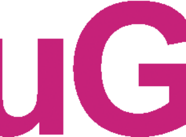 Promotions, prices, alternatives – promotions and Hungarian households