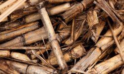 The importance of wood industry by-products in biomass use has increased significantly