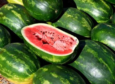 The consumer protection authority also checks watermelons during the summer period