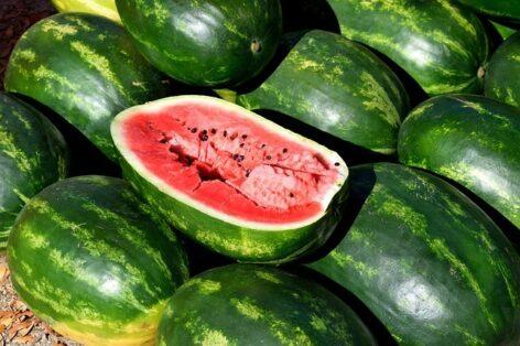 A fogyasztóvédelmi hatóság is ellenőrzi a görögdinnyéket a nyári időszakban