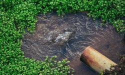 Zsolt V. Németh: numerous measures have already been taken to mitigate drought damage