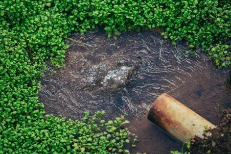 Zsolt V. Németh: numerous measures have already been taken to mitigate drought damage