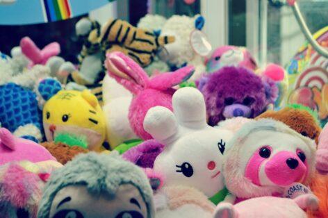 When a plush toy was worth more than a stock – the lessons of speculative manias