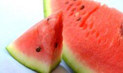 István Nagy: Hungarian melon season starts with good quality melons