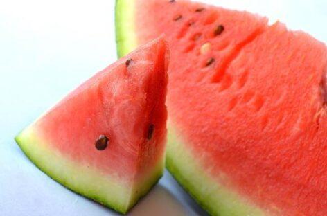 István Nagy: Hungarian melon season starts with good quality melons