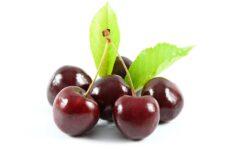 Cherries are significantly more expensive this year
