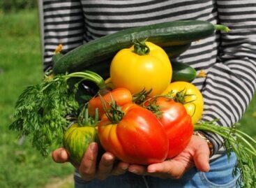 Auchan launches its local supplier program in Debrecen