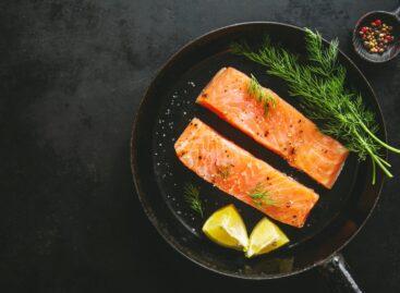 Japan’s Mitsubishi Expands In Salmon Farming With Acquisitions In Norway, Canada