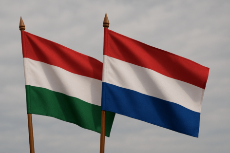 Hungarian-Dutch export market grew significantly