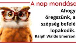 A nap mondása