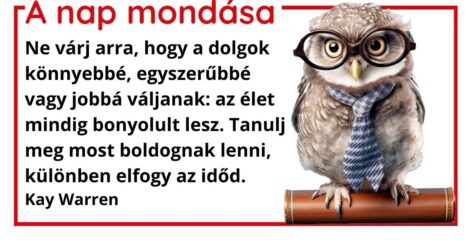 (HU) A nap mondása