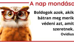 (HU) A nap mondása