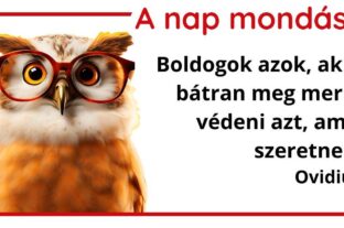 (HU) A nap mondása