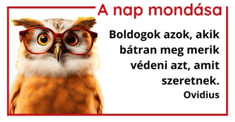 (HU) A nap mondása