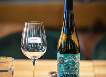 Alcohol-free novelty in the Balaton wine world
