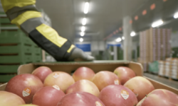 A Lidl a Heim Pál Gyermekkórház Fejlesztéséért Alapítványt támogatja