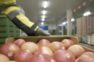 A Lidl a Heim Pál Gyermekkórház Fejlesztéséért Alapítványt támogatja