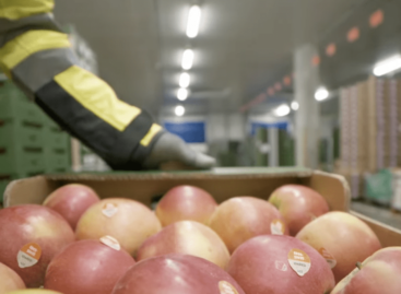 A Lidl a Heim Pál Gyermekkórház Fejlesztéséért Alapítványt támogatja