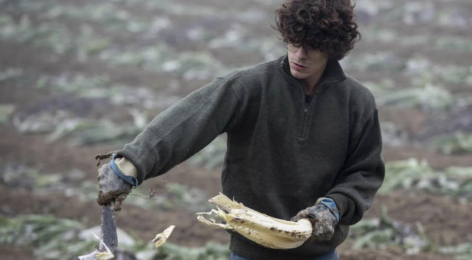 FAO recognizes young farmers