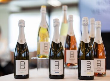 Every sip is a new chapter – the BB wine and champagne family is completely renewed and takes the next level