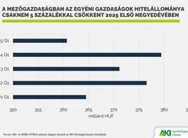 Agricultural loans decreased by 6 percent