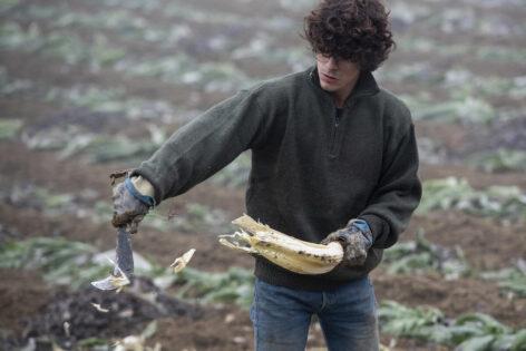Fiatalok az agrár-élelmezési szektorban a FAO kutatása szerint