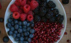 Hungarian university collaboration can help grow berries