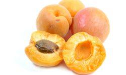 The weakest apricot harvest in the past twenty years is expected this year