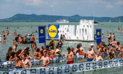 The Lidl Balaton swim is approaching