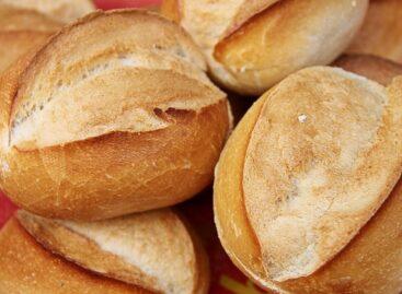 AM: Harvesting is underway nationwide, the country’s bread is assured