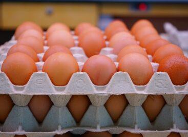 Table eggs rose by 30 percent in the first half of the year